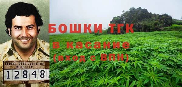 гашик Алексин