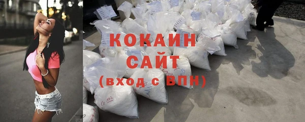гашик Алзамай