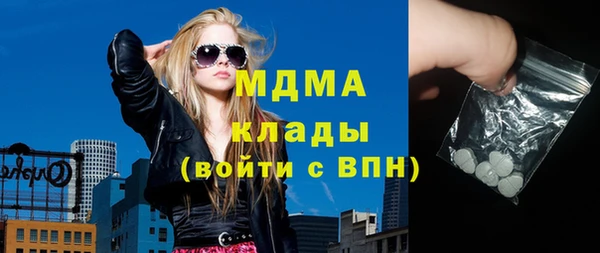 гашик Алексин