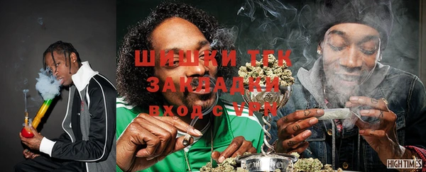 гашик Алексин