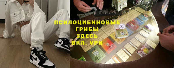 гашик Алексин