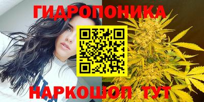 не бодяженный Берёзовский