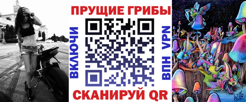 Галлюциногенные грибы Cubensis OMG ССЫЛКА Елизово