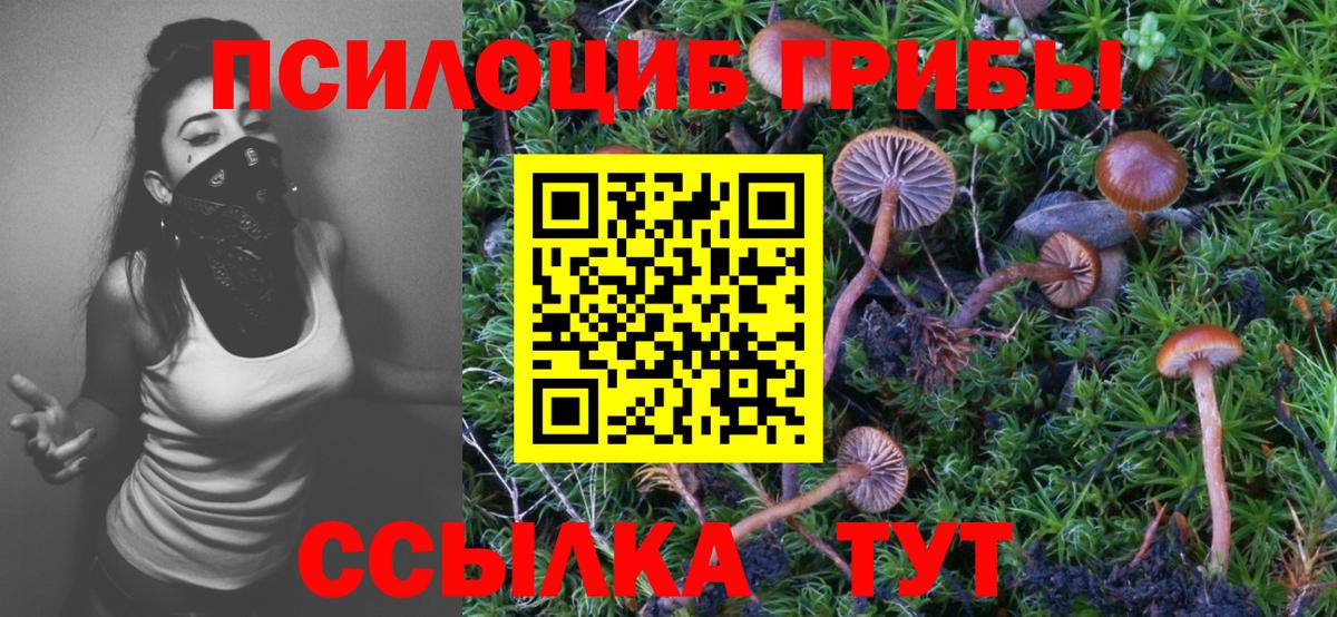Галлюциногенные грибы прущие грибы  сколько стоит  Елизово  Вход с VPN 