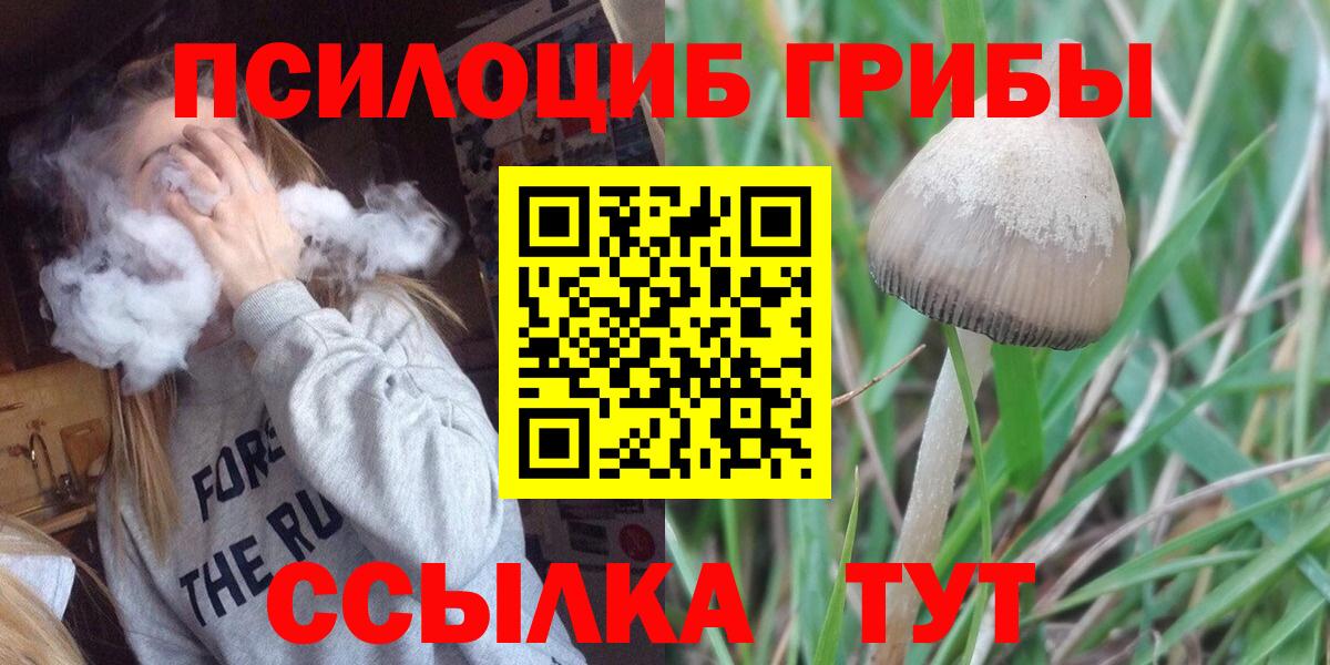 Галлюциногенные грибы Psilocybine cubensis Елизово