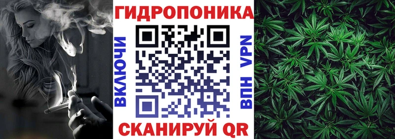 Бошки марихуана White Widow  Елизово 